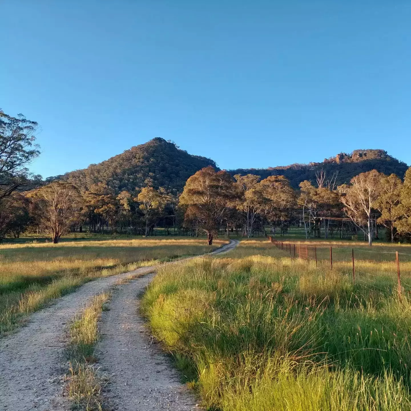 Auto-generated description: A winding dirt path leads through a grassy field toward a forested hill under a clear blue sky.