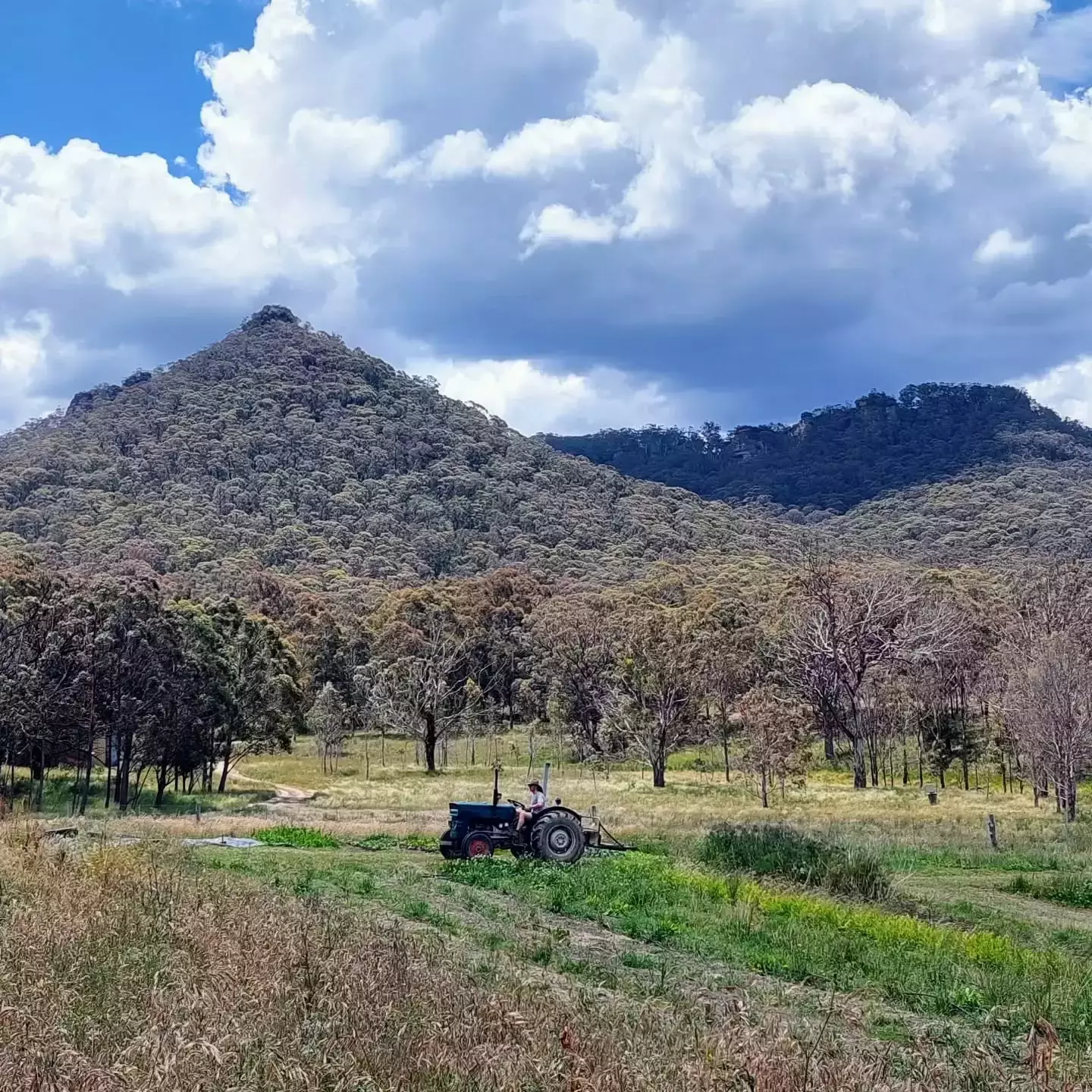 Auto-generated description: A tractor is situated in a grassy field with a forested mountain in the background under a partly cloudy sky.