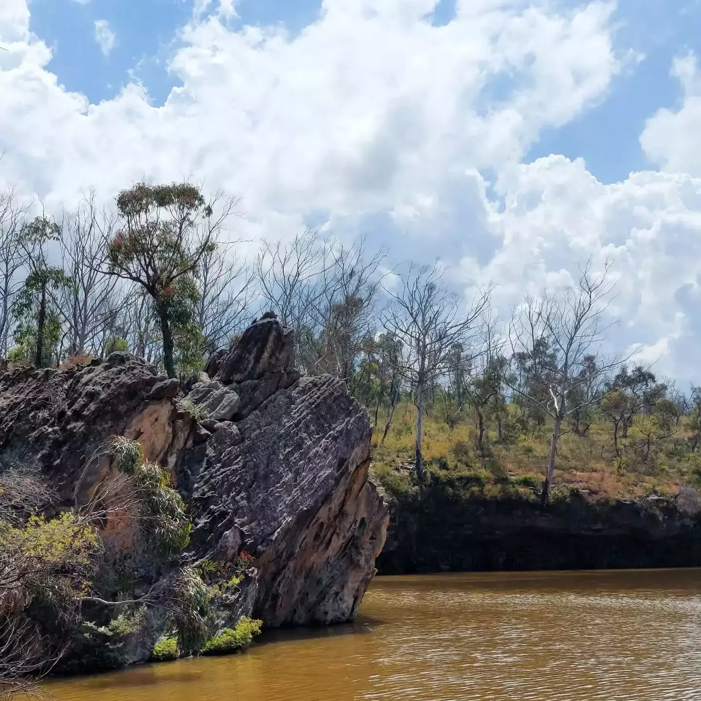 Auto-generated description: A rocky outcrop covered with sparse vegetation rises from a brownish body of water under a sky dotted with clouds and surrounded by a landscape of leafless trees.
