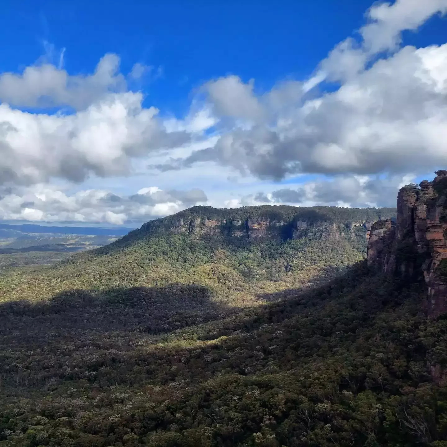 Auto-generated description: A vast landscape features a lush green forest, rugged cliffs, and a bright blue sky with scattered clouds.