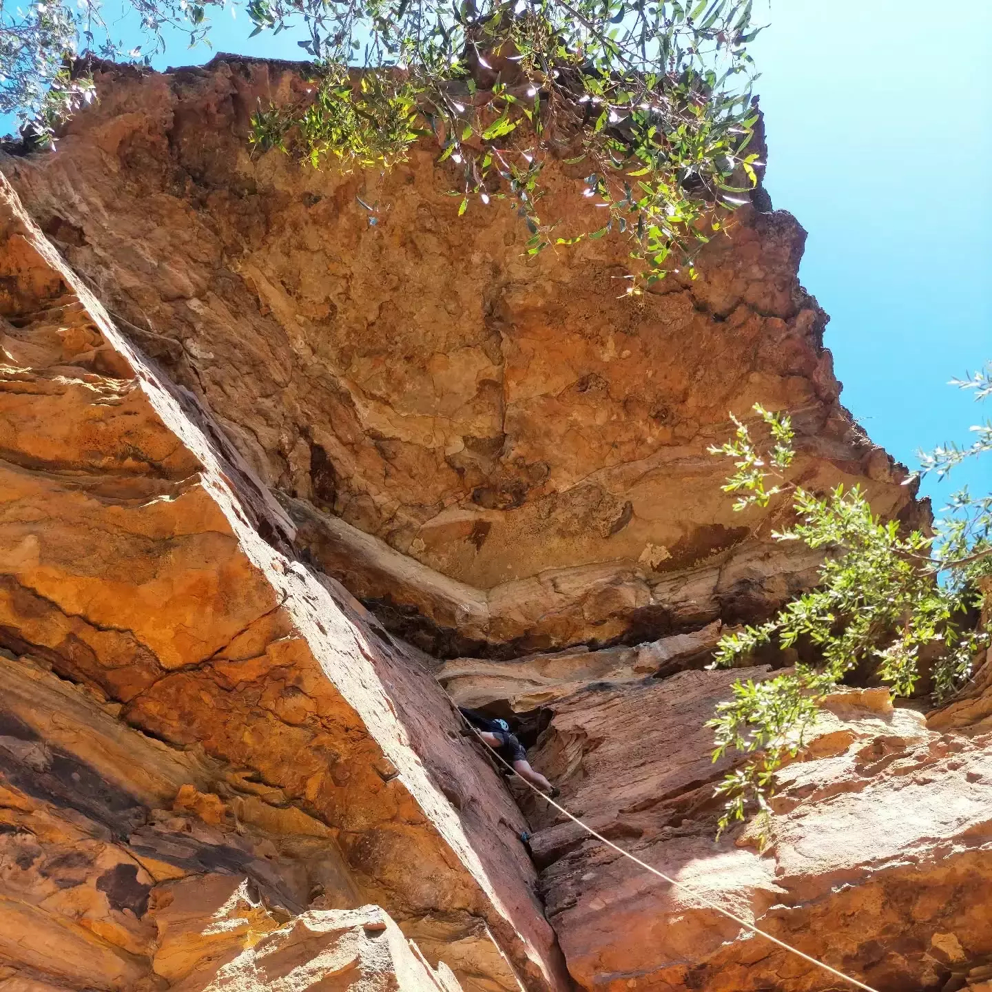Auto-generated description: A climber is ascending a rugged, orange-hued rock face surrounded by sparse vegetation.