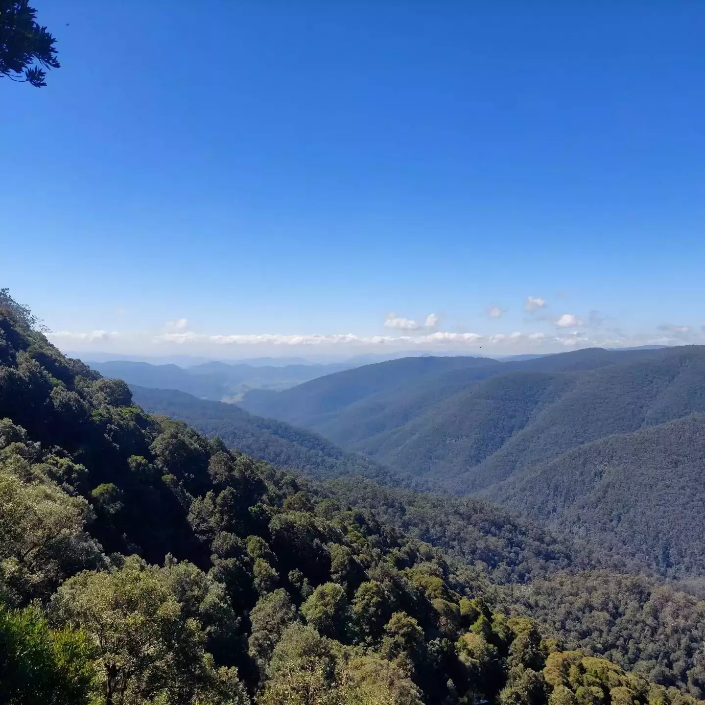 Auto-generated description: A lush, forested mountain landscape stretches into the distance under a partly cloudy sky.