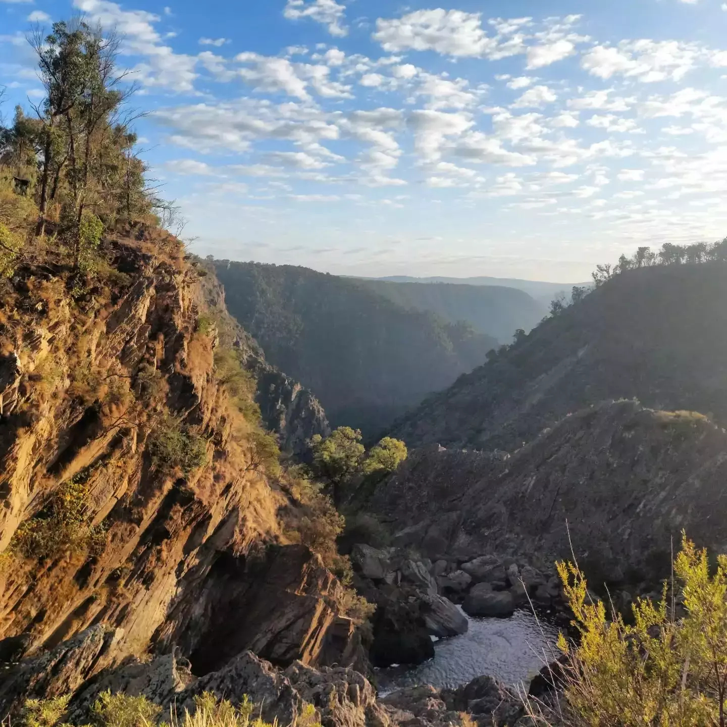 Auto-generated description: A rocky canyon under a partly cloudy sky features trees growing on its edges.