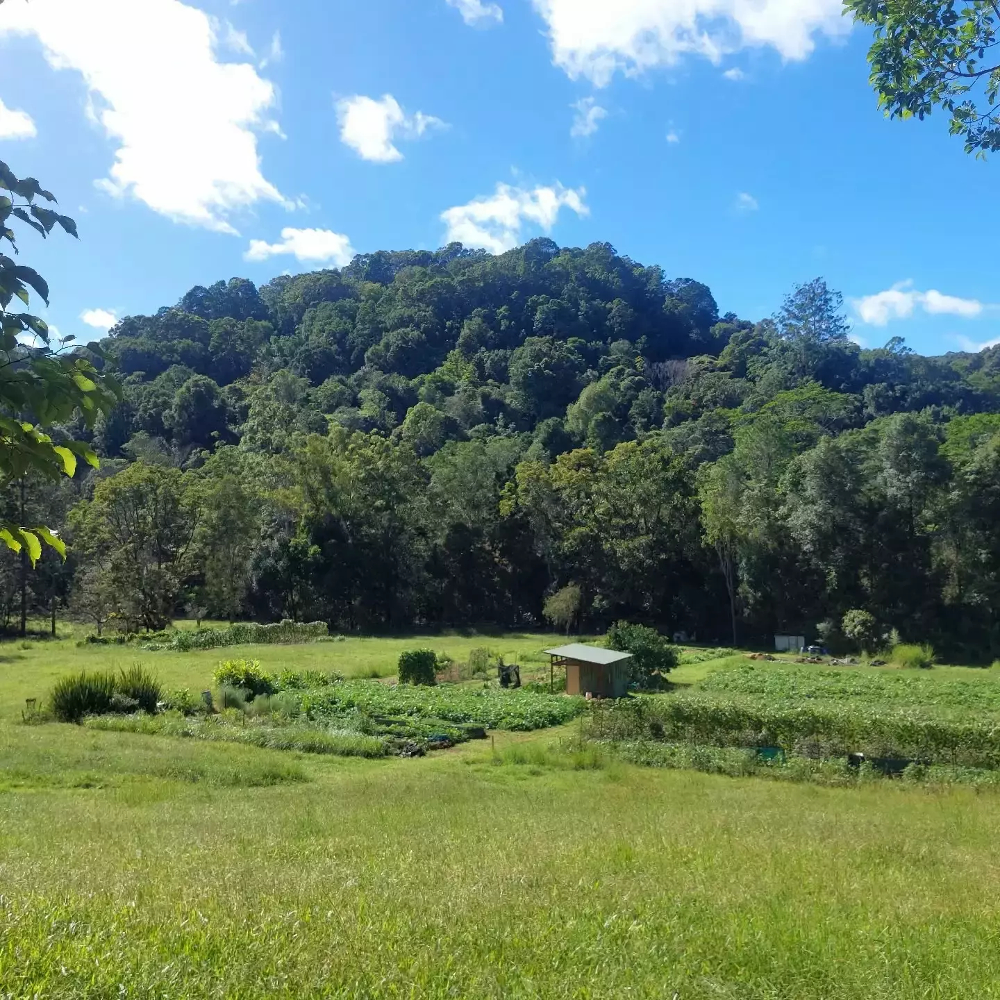 Auto-generated description: A lush landscape features rolling hills covered with dense trees and a small clearing with a building in a grassy field.