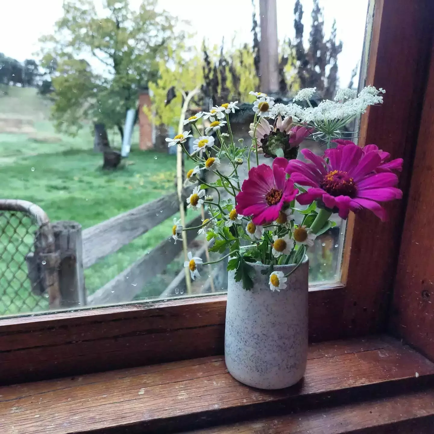 Auto-generated description: A small vase filled with colourful flowers is placed on a wooden windowsill overlooking a rustic outdoor scene with trees and a fence.