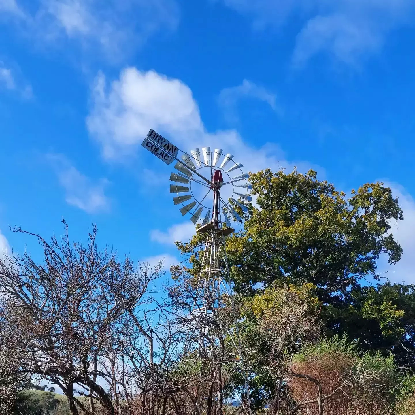 Auto-generated description: A windmill stands against a backdrop of blue sky and clouds, surrounded by trees and shrubs.