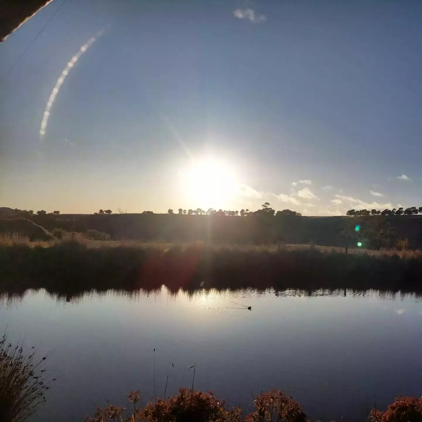 Auto-generated description: A serene landscape features a bright sun setting over a distant treeline, reflecting in a calm body of water with silhouettes of plants in the foreground.