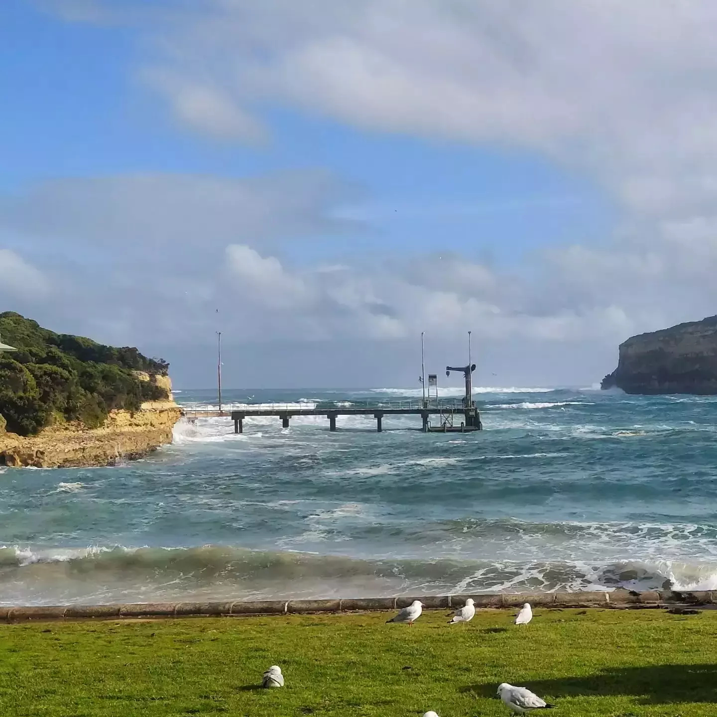Auto-generated description: A wild coastal scene features a grassy shoreline with birds, a pier extending into the ocean, and rough rolling waves beneath a cloudy sky.