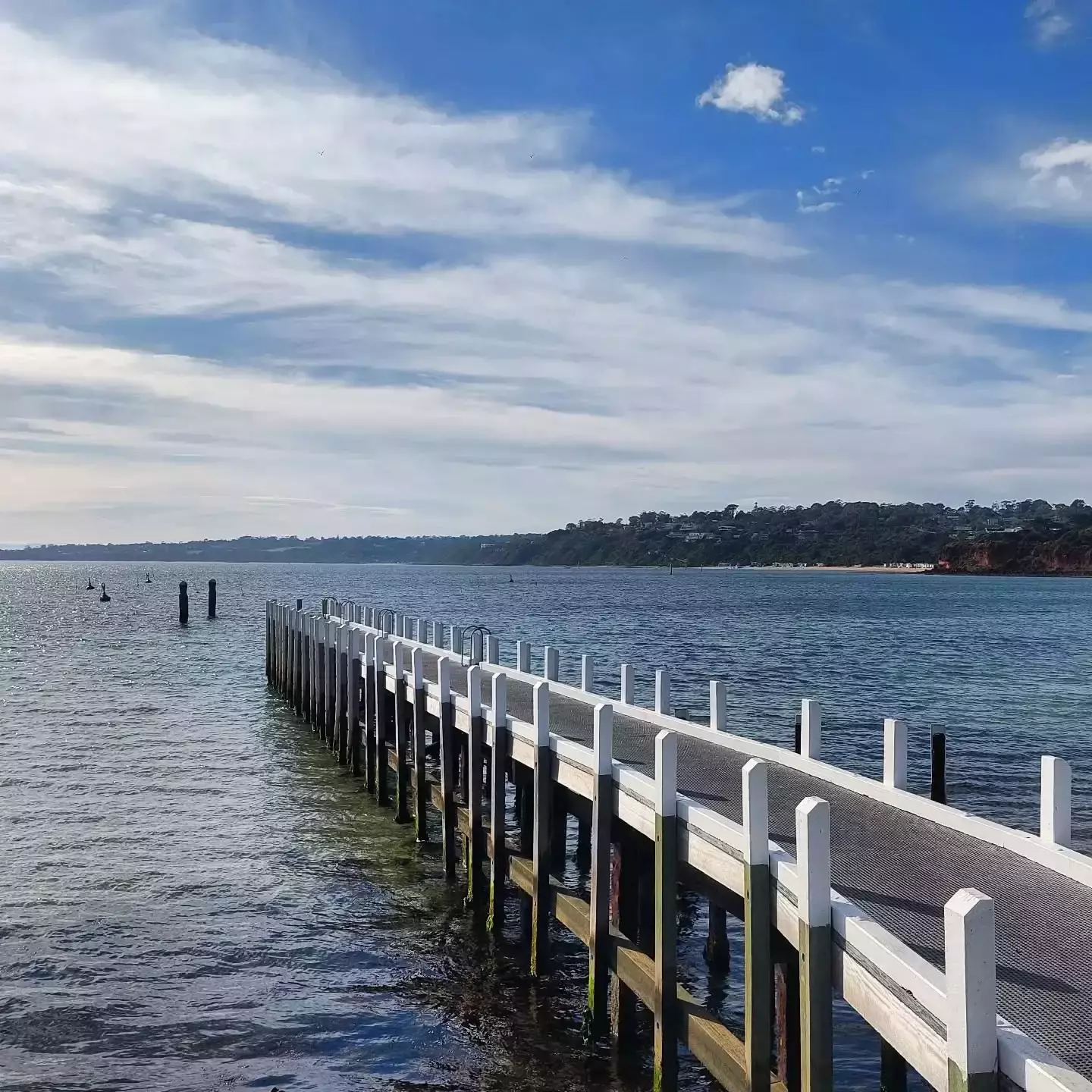 Auto-generated description: A long wooden pier extends into a calm body of water under a partly cloudy sky, with a distant forested shoreline visible.