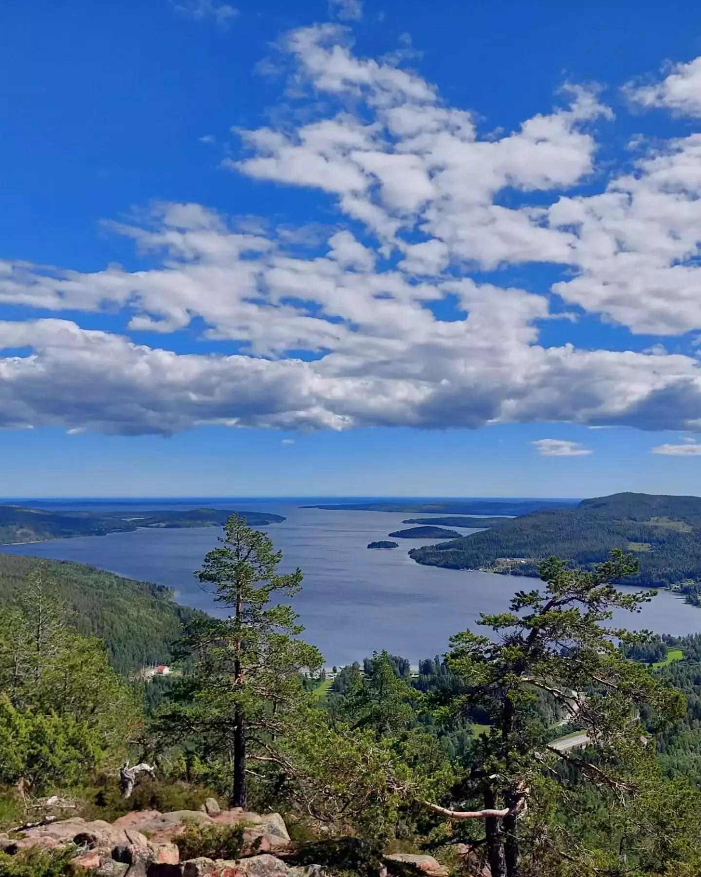 Auto-generated description: A scenic view of a lake surrounded by lush green forests and hills under a partly cloudy blue sky.