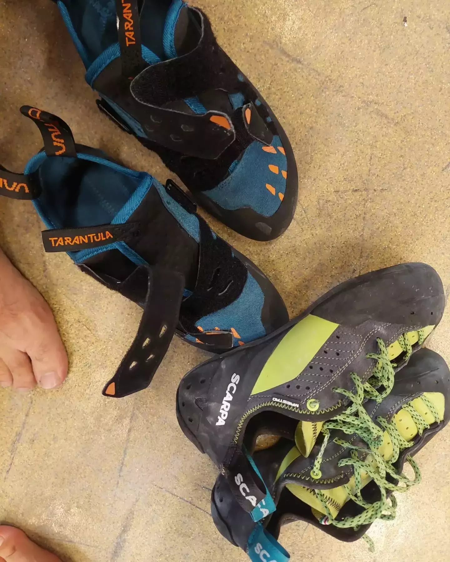 Auto-generated description: Two pairs of climbing shoes, one labeled Tarantula and the other Scarpa, are on a wooden floor next to bare feet.