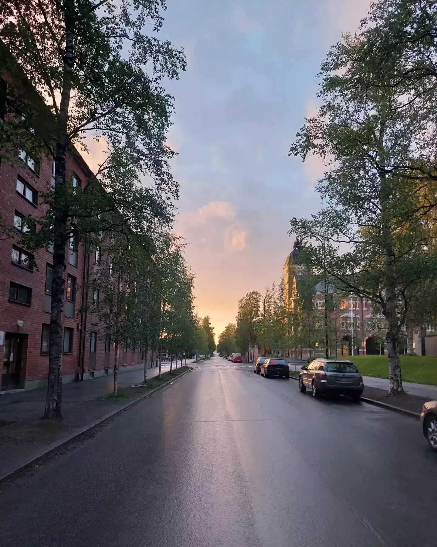 Auto-generated description: A quiet, tree-lined street with parked cars and a hint of sunset in the sky.