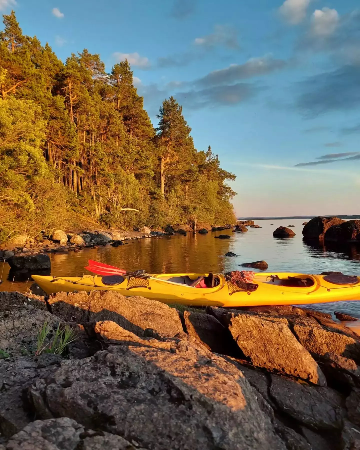 Auto-generated description: Two yellow kayaks are resting on a rocky shoreline with a backdrop of trees and a serene, sunlit body of water.