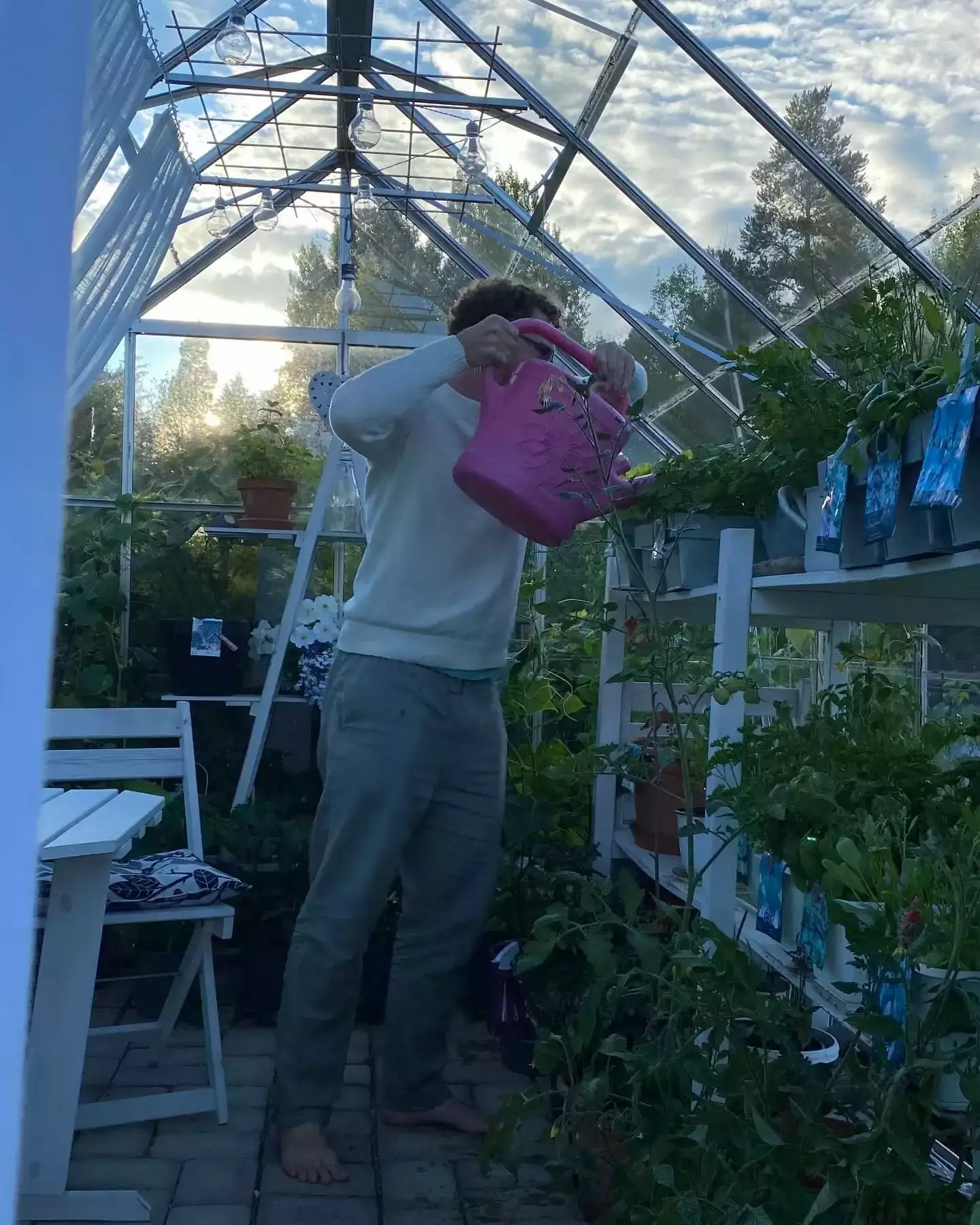 Auto-generated description: A person is watering plants with a pink watering can inside a greenhouse.