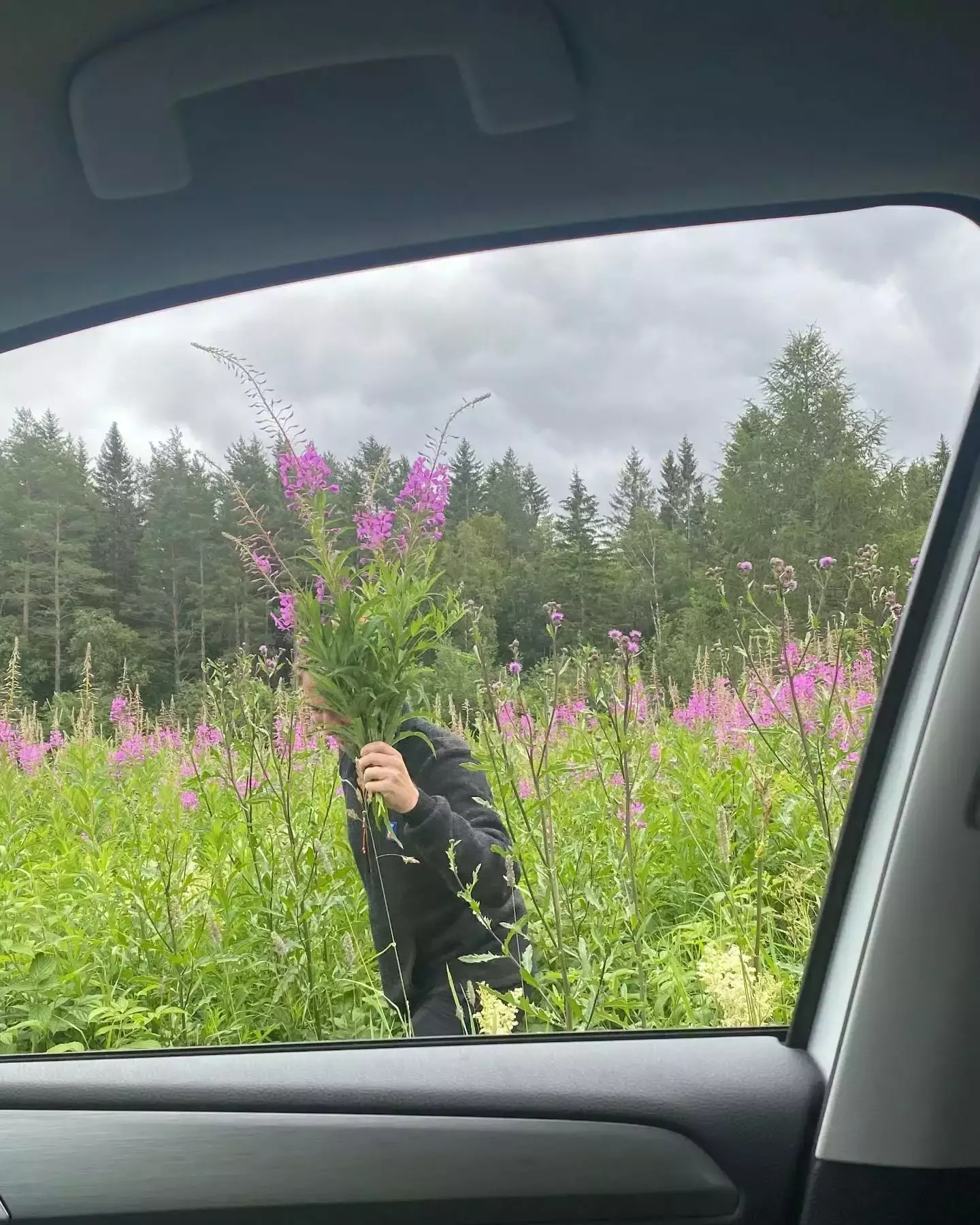Auto-generated description: A person is standing in a field of purple wildflowers, partially obscured by plants, as seen through a car window.