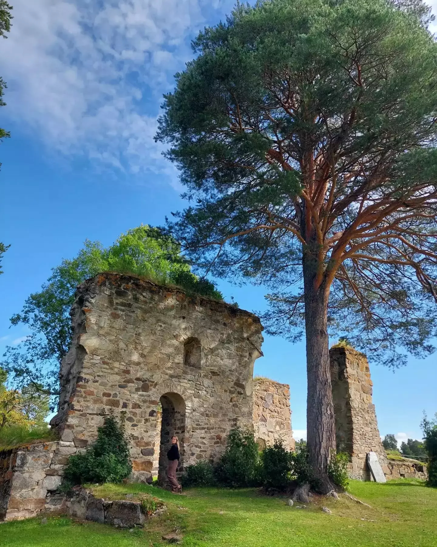 Auto-generated description: A large tree stands next to ancient stone ruins, surrounded by lush greenery under a partly cloudy sky.