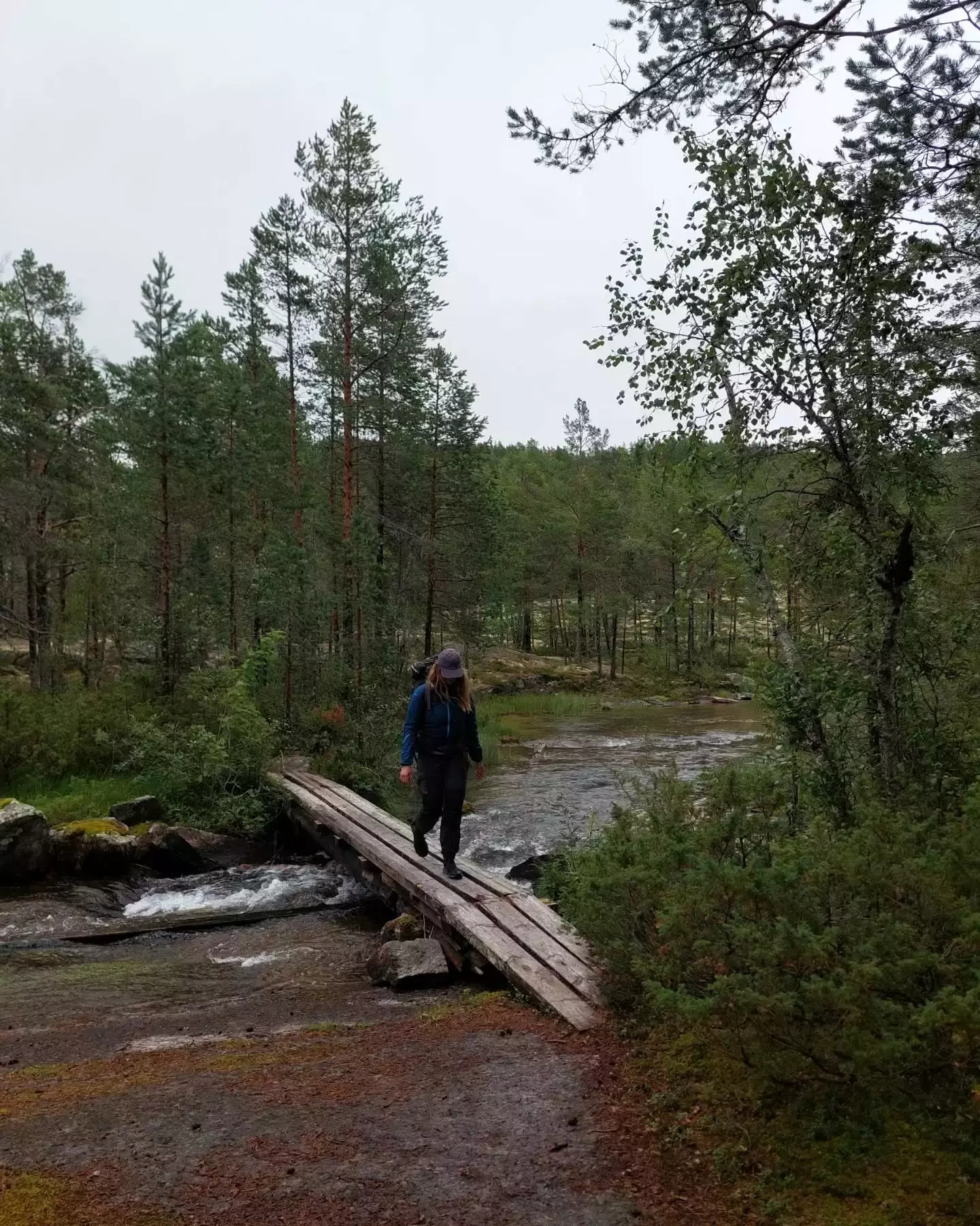 Auto-generated description: A person is walking across a small wooden bridge over a stream in a forested area.