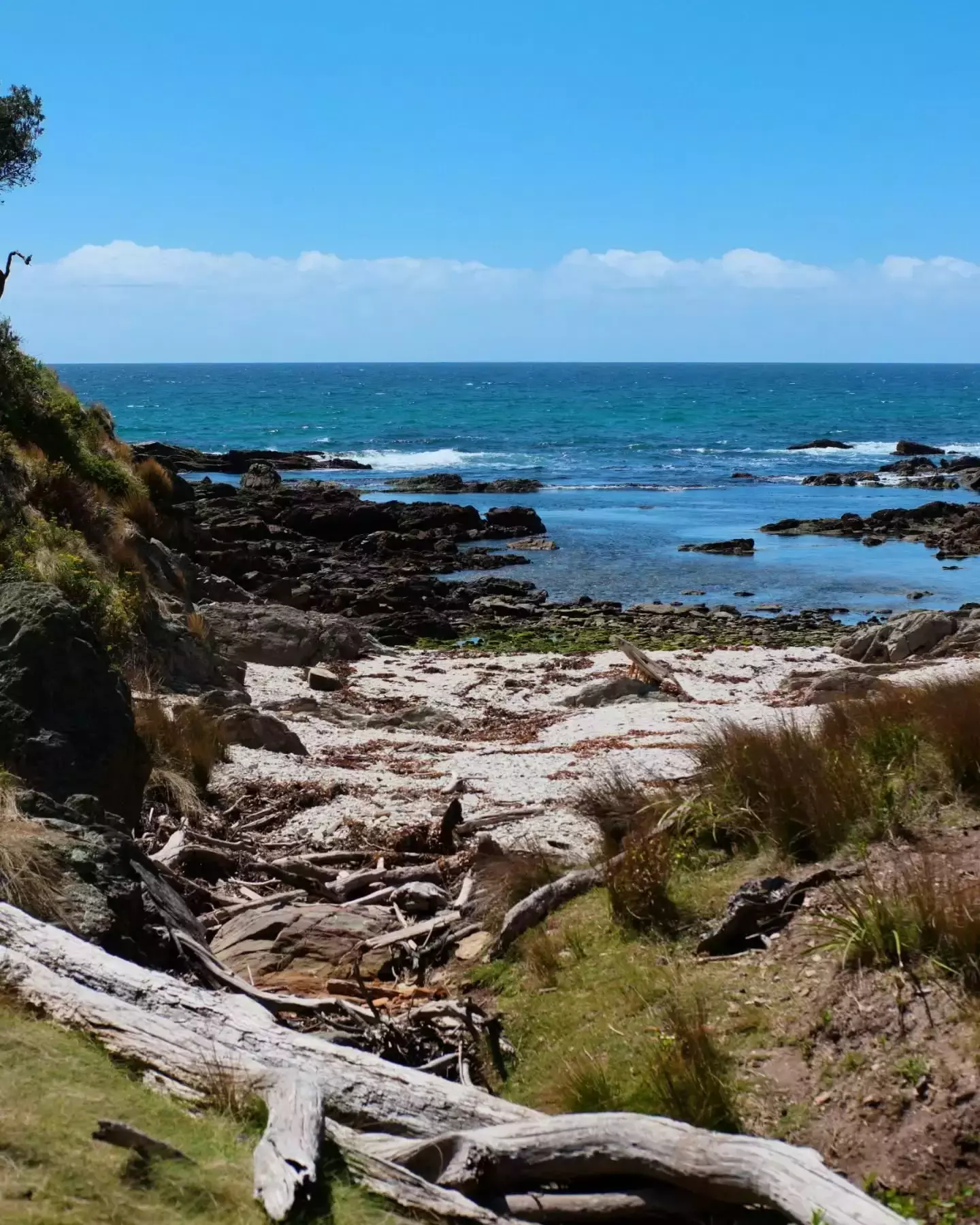 Auto-generated description: A serene coastal landscape featuring rocky shores, turquoise water, and grassy foreground with driftwood scattered around.