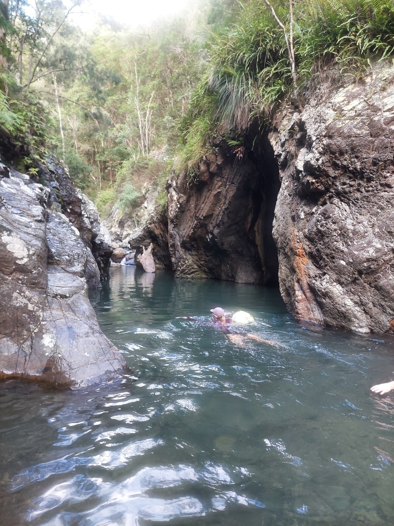 Auto-generated description: Two people swim in a narrow, rocky river surrounded by lush vegetation.