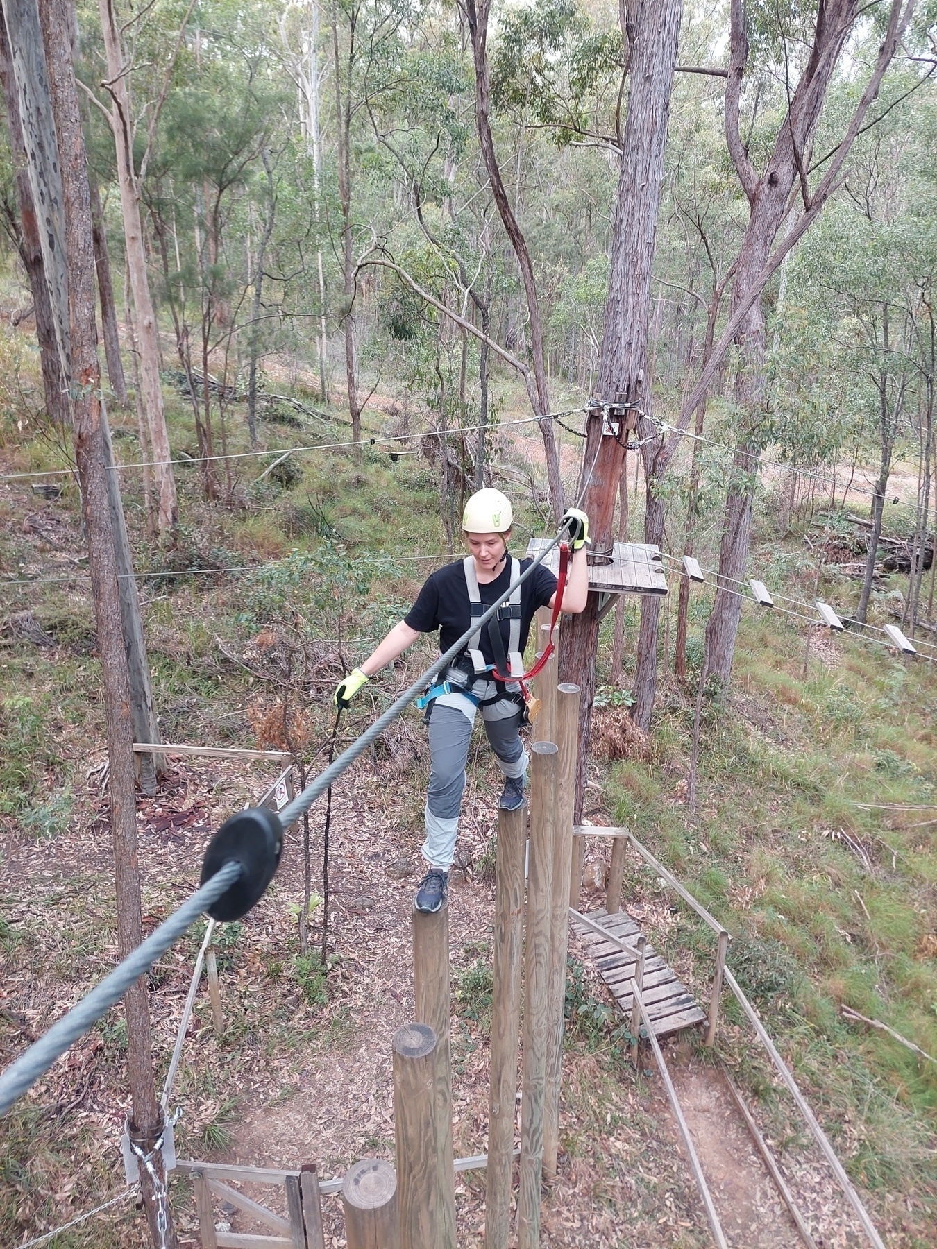 Auto-generated description: Tanja walking on a high ropes course in a forest while wearing safety gear.